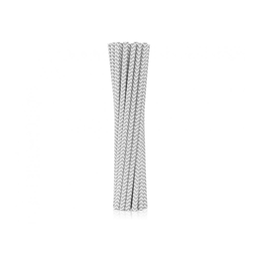 Colour Silver Silver Paper Straw 12 pcs