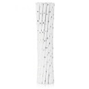 Colour Silver Stars Silver Paper Straw 12 pcs