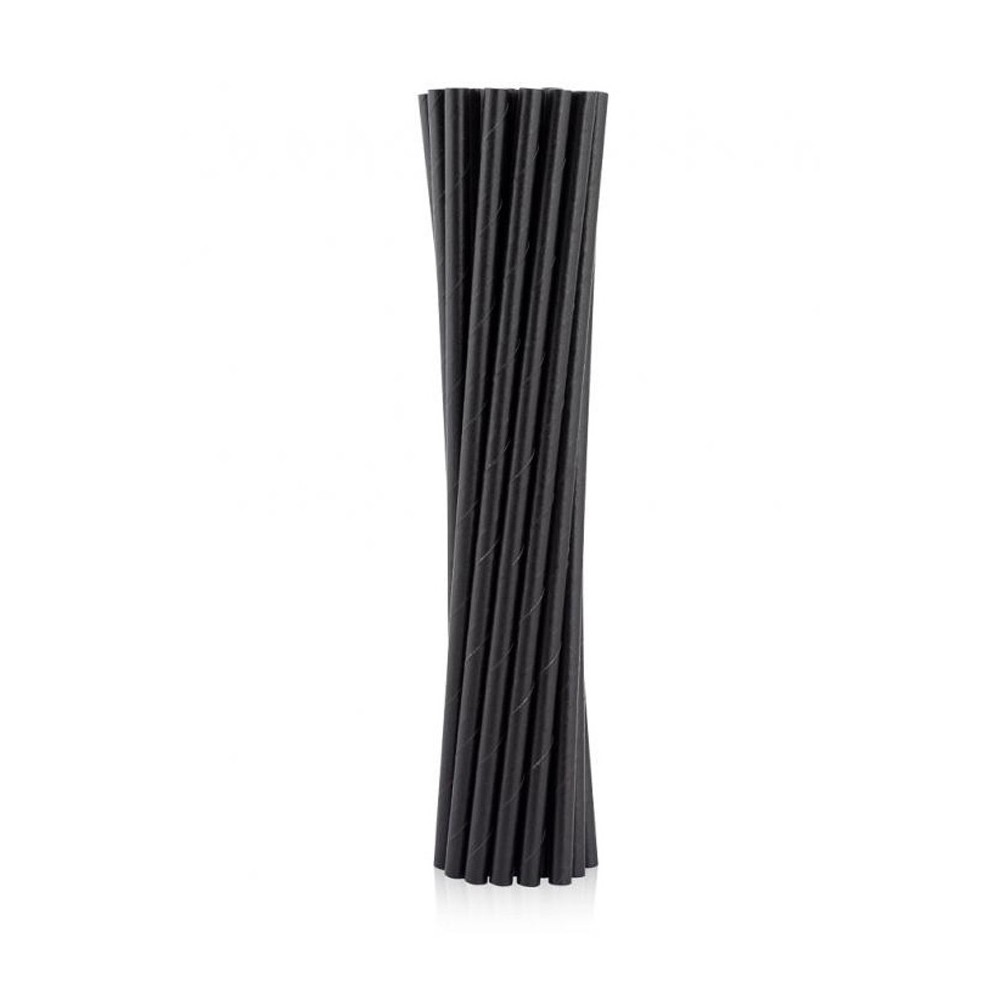 Colour Black Black Paper Straw 12 Pack