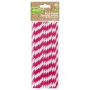 Colour Magenta paper straw pack of 24