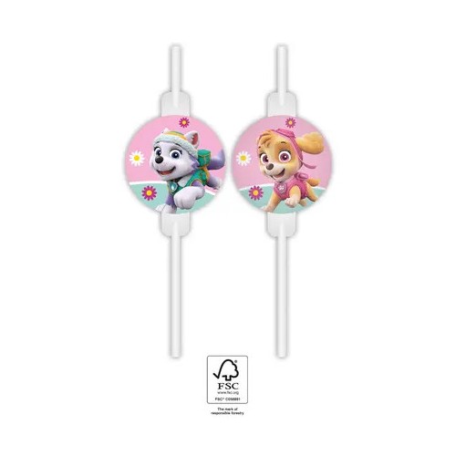 Paw Patrol Skye and Everest paper straw, 4-piece set FSC