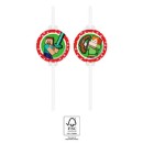 Minecraft Green paper straw, 4-piece set FSC