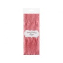 Colour Red Chevron Red paper straw set of 24