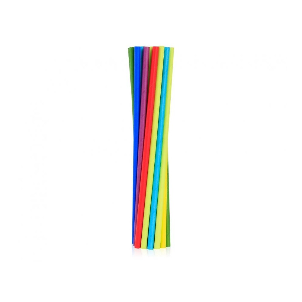 Colour Rainbow paper straw set of 24