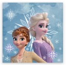 Disney Frozen Snowflake hand towel, face towel, towel 30x30cm