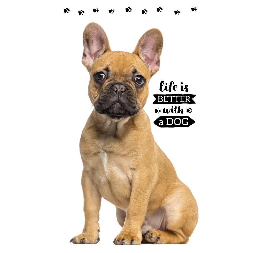 Dog Friend hand and face towel, towel 30x50cm