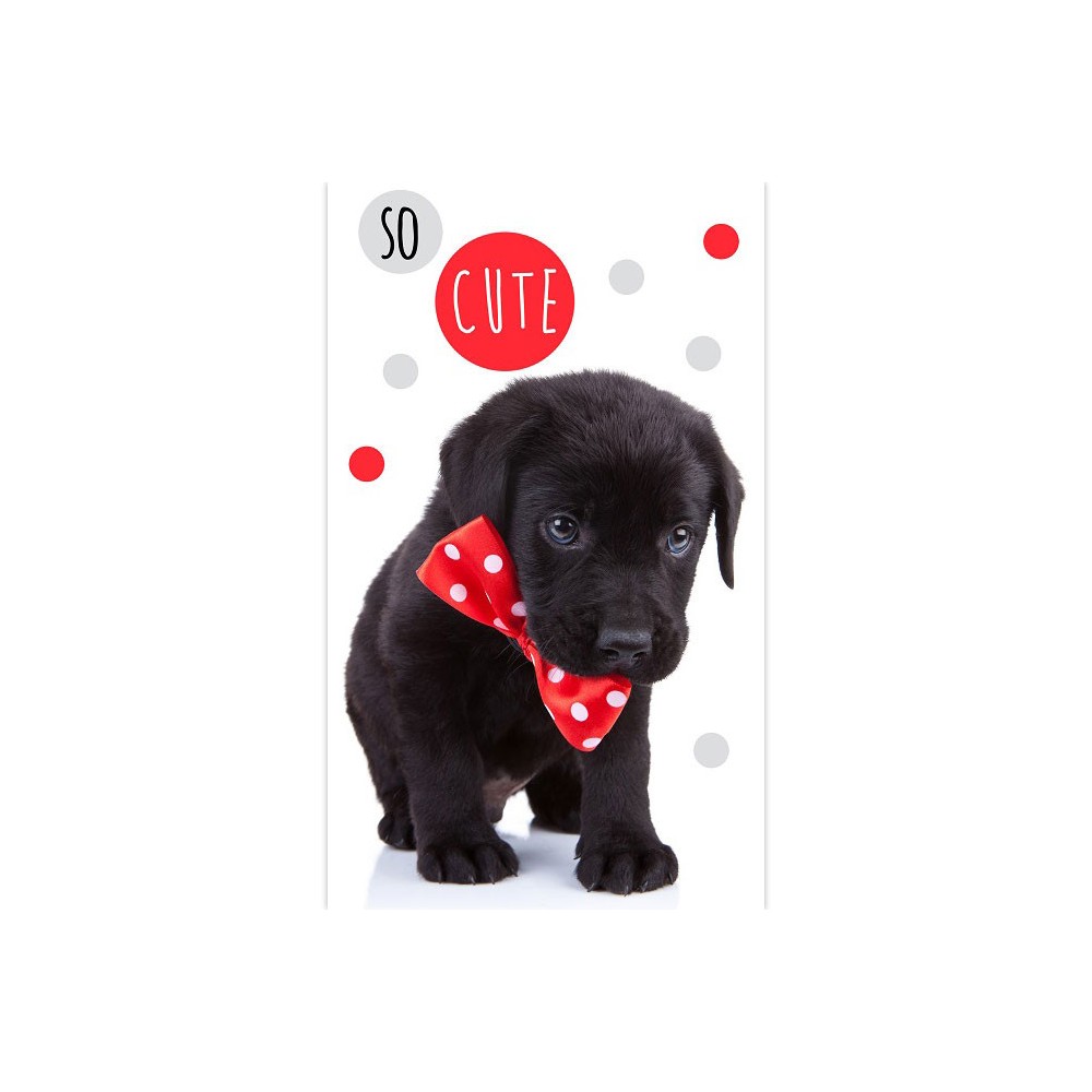 Dog So Cute hand and face towel, towel 30x50cm