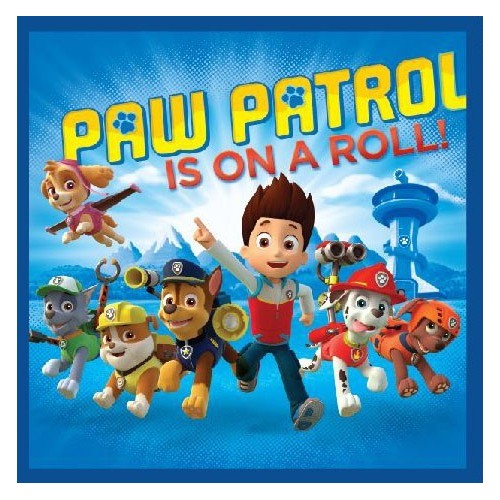 Paw Patrol Magic Hand Towel Face Towel, Towel 30x30cm