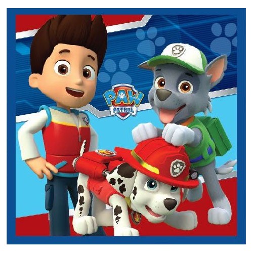 Paw Patrol Magic Hand Towel facial towel, towel 30x30cm