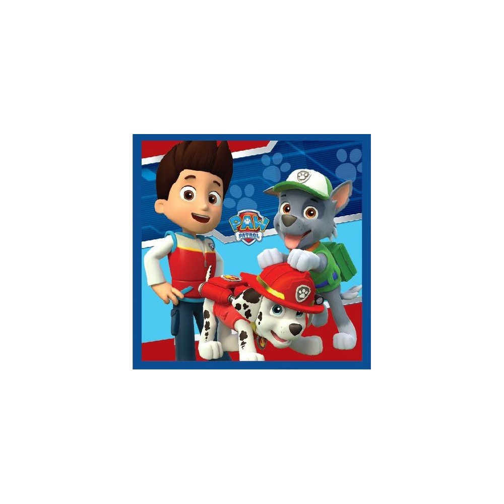 Paw Patrol Magic Hand Towel facial towel, towel 30x30cm