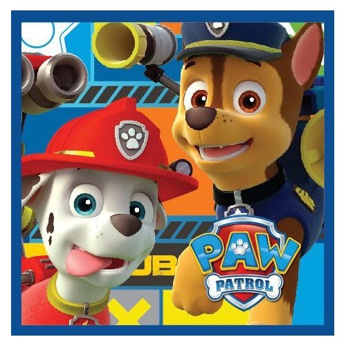 Paw Patrol Magic Hand Towel Face Towel, Towel 30x30cm