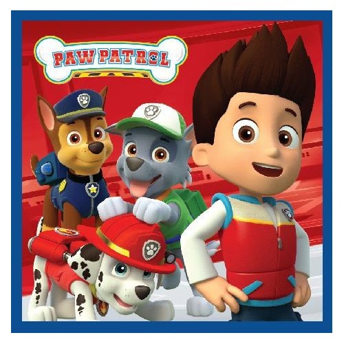 Paw Patrol Magic Hand Towel Face Towel, Towel 30x30cm