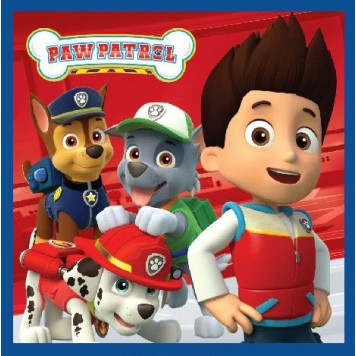 Paw Patrol Magic Hand Towel Face Towel, Towel 30x30cm