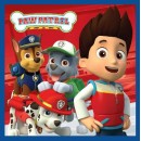 Paw Patrol Magic Hand Towel Face Towel, Towel 30x30cm