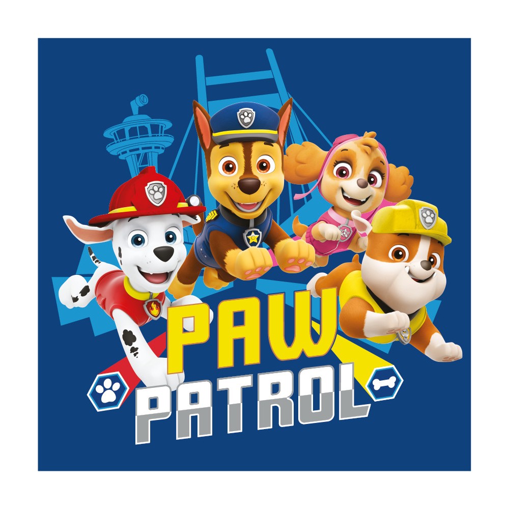 Paw Patrol Team hand towel, face towel, towel 30x30cm