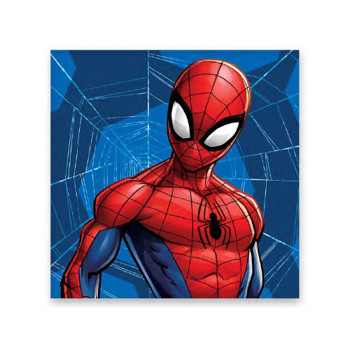 Spiderman Web hand towel, face towel, towel 30x30cm