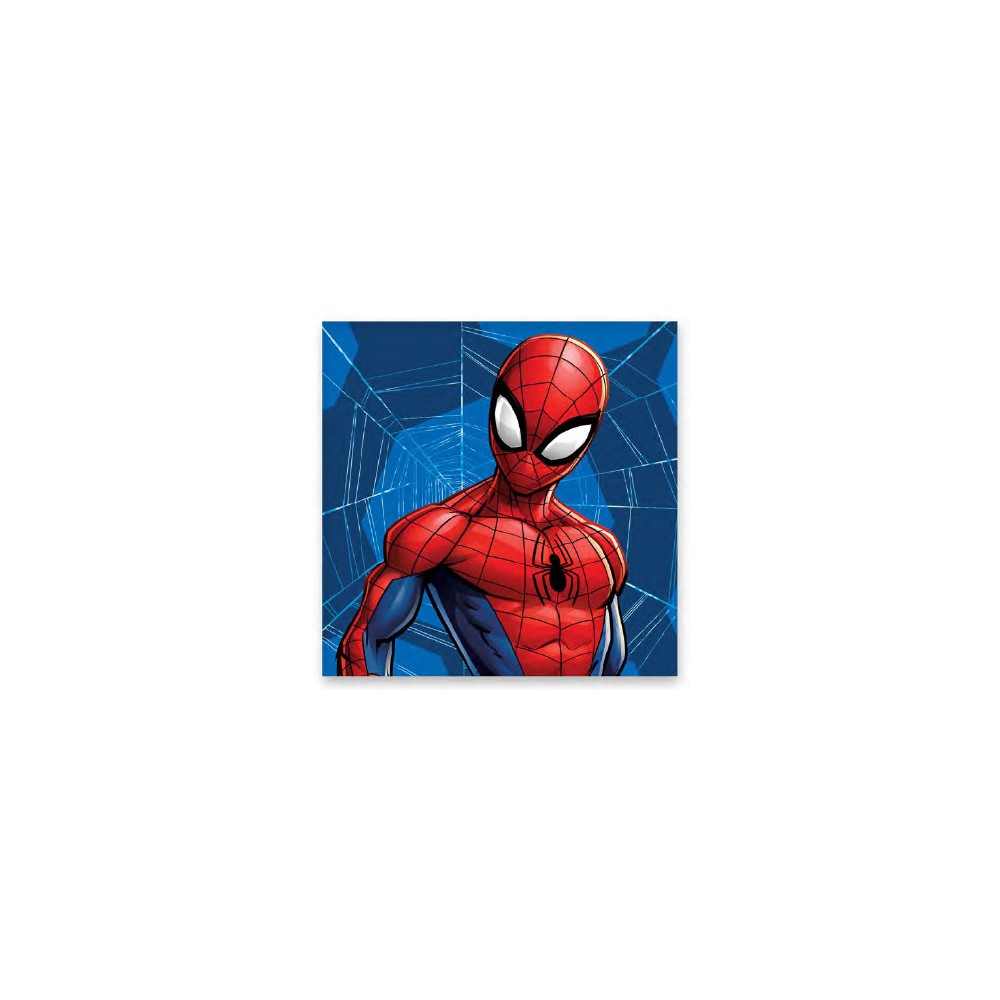 Spiderman Web hand towel, face towel, towel 30x30cm