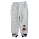 Paw Patrol Grey Pups children's tracksuit, jogging set 2 - 8 years / 92 - 128 cm