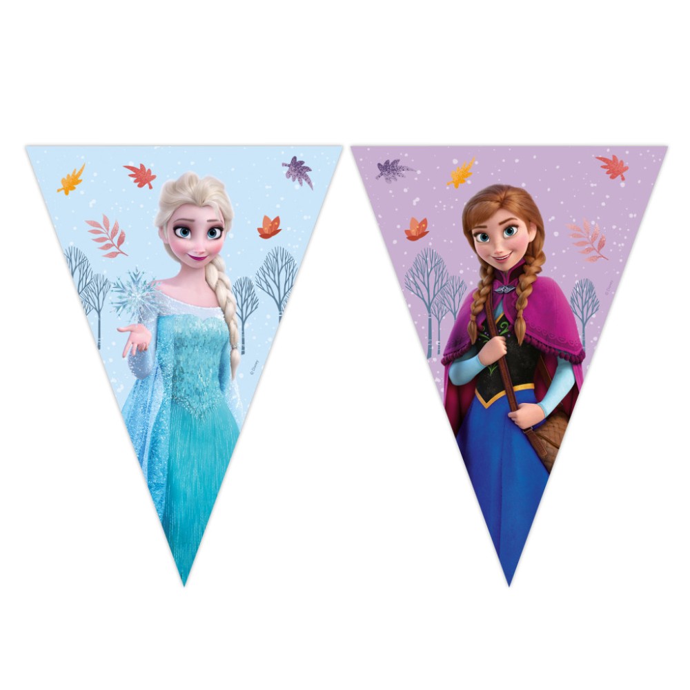 Disney Frozen Idyllic Wonder flag garland FSC 2.3 m