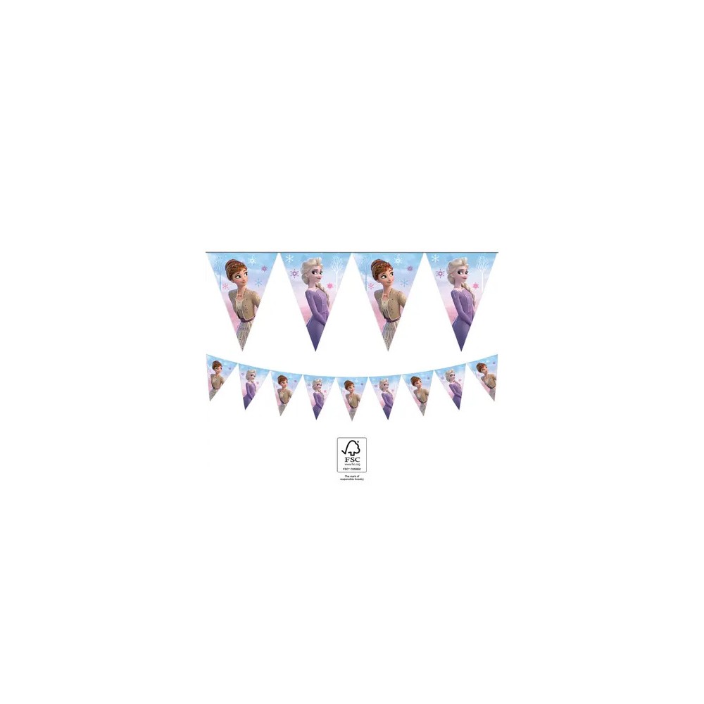 Disney Frozen Wind  flag garland FSC 2.3 m