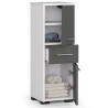 Meuble de salle de bain 30x85x30cm Gris