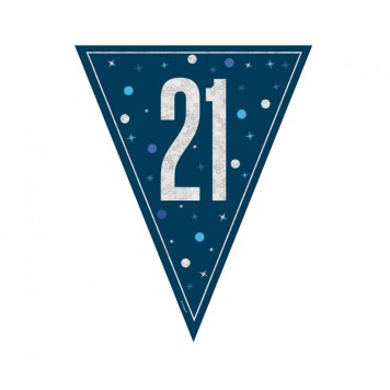 Happy Birthday Blue Happy Birthday 21 Bunting 274 cm