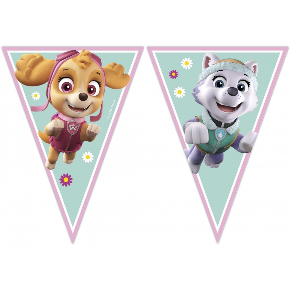 Paw Patrol Skye and Everest banner