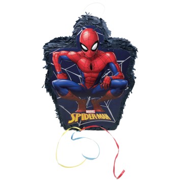 Spiderman World of Web 3D pinata