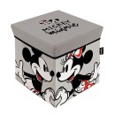 Disney Minnie, Mickey Toy Storage 30×30×30 cm