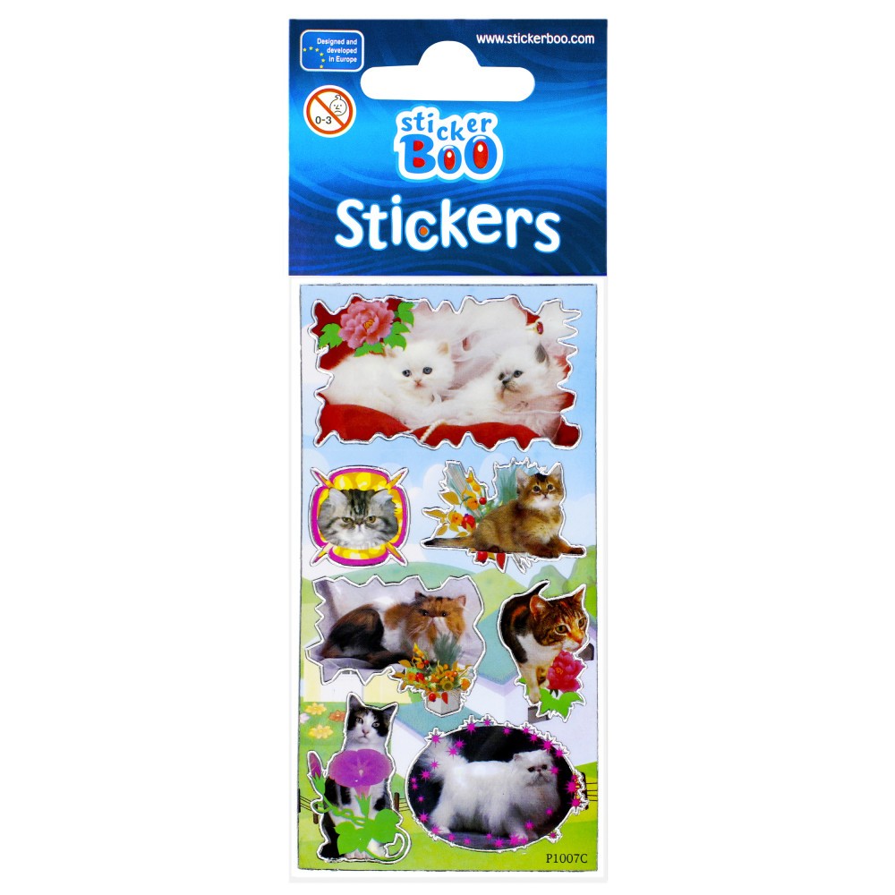 Cat sticker with silver decoration