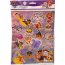 Paw Patrol Slide hologram sticker
