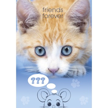 Cat Friends Forever A4 elastic folder