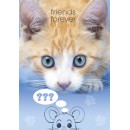 Cat Friends Forever A4 elastic folder