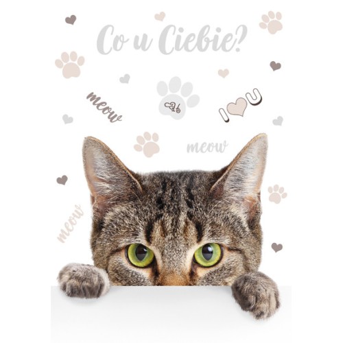 Cat Meow A/4 elastic folder