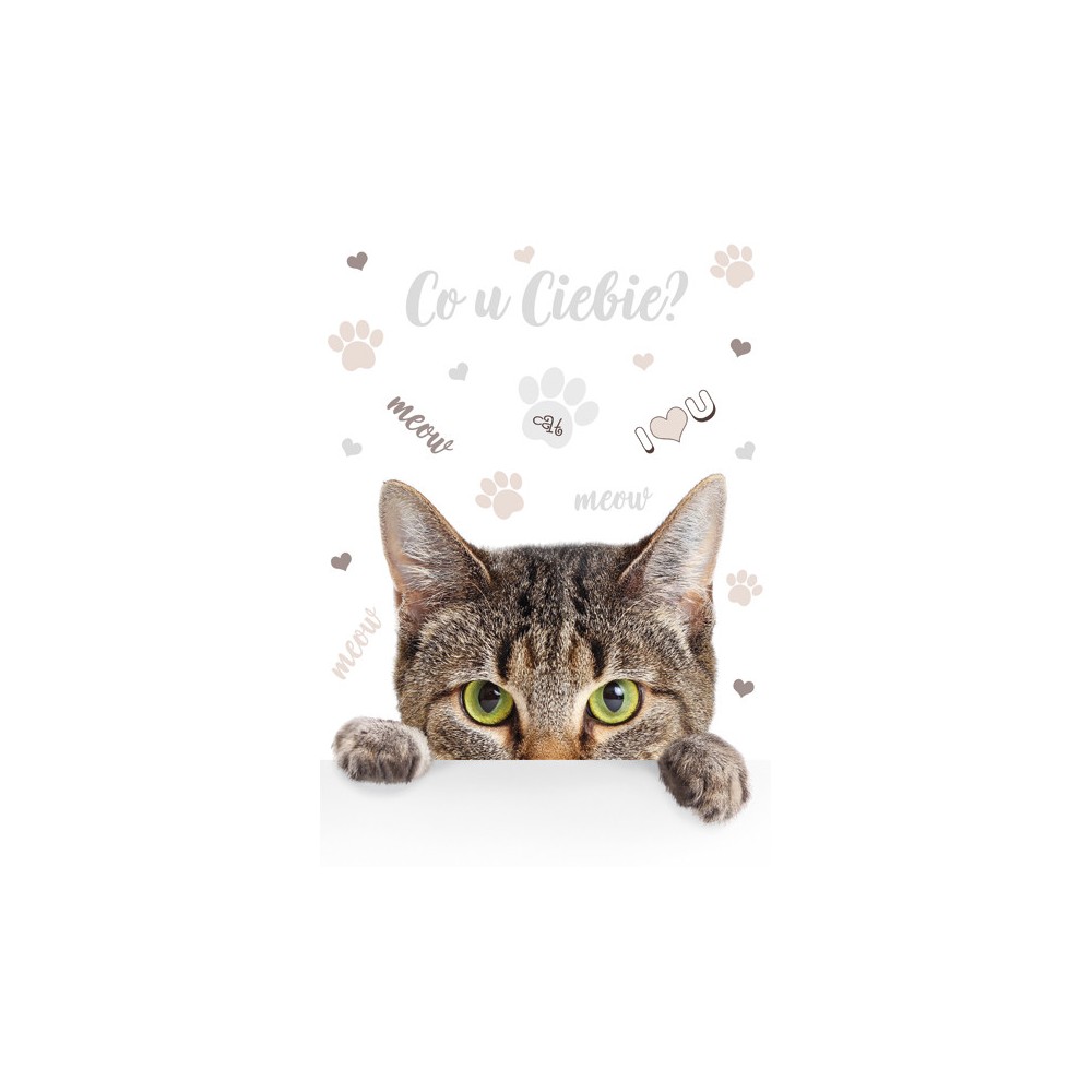 Cat Meow A/4 elastic folder