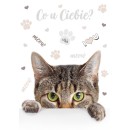 Cat Meow A/4 elastic folder