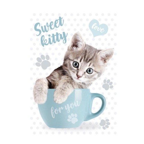Cat Sweet Kitty A4 elastic folder