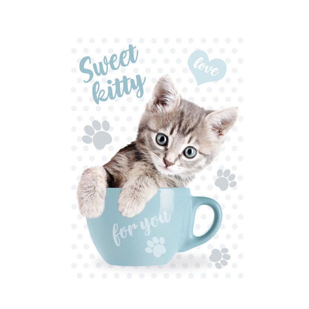 Cat Sweet Kitty A4 elastic folder