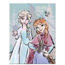 Disney Frozen Adventure A/4 elastic folder