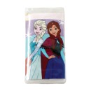 Disney Frozen Adventure mini art set