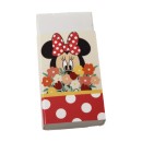 Disney Minnie  Floral stationery set 5-piece