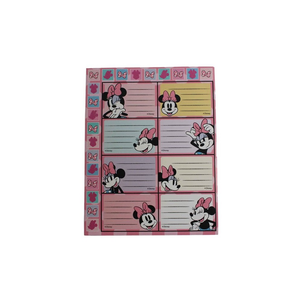 Disney Minnie  Joy notebook label with stickers, 16 pcs