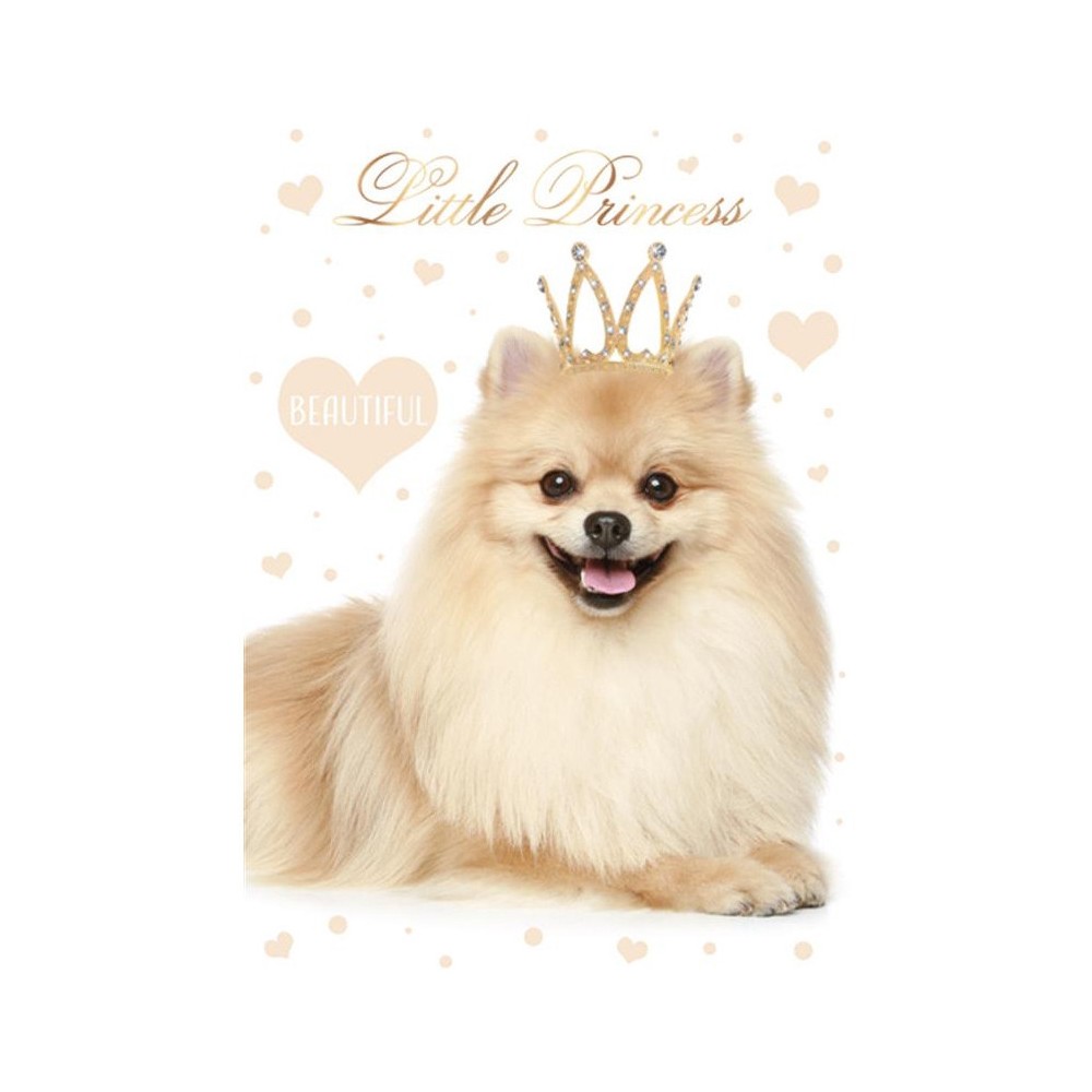 Dog Little Princess A4 elastic folder