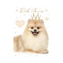 Dog Little Princess A4 elastic folder