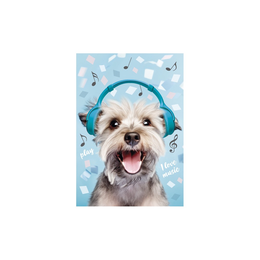 Dog Play Music A/4 elastic folder