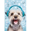 Dog Play Music A/4 elastic folder