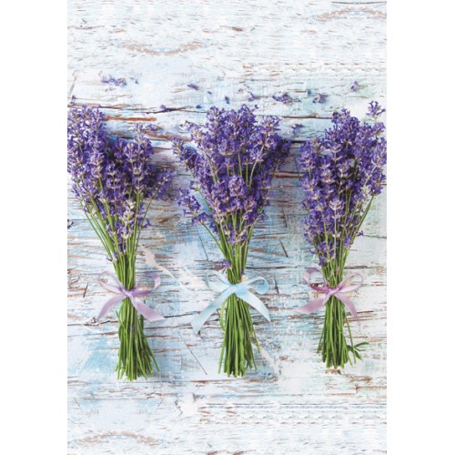 Colour Bouquet Lavender A/4 Elastic Folder