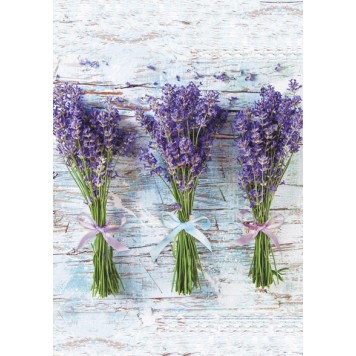 Colour Bouquet Lavender A/4 Elastic Folder