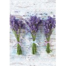 Colour Bouquet Lavender A/4 Elastic Folder