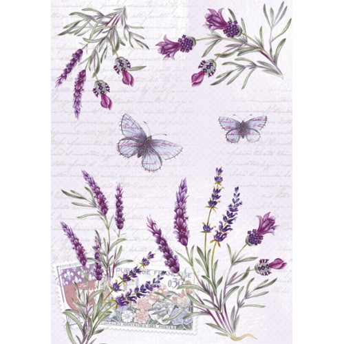 Colour Butterfly Lavender A/4 document folder with elastic band